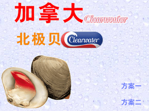 加拿大北極貝網(wǎng)站建設(shè) 加拿大北極貝網(wǎng)站建設(shè)