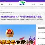 天津經(jīng)濟(jì)技術(shù)開(kāi)發(fā)區(qū)政務(wù)服務(wù)平臺(tái)網(wǎng)站建設(shè)