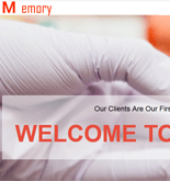 科技行業(yè)網站建設