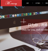 科技行業(yè)網(wǎng)站建設(shè)