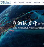 昂納信息技術(深圳)有限公司網站建設