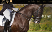 東方馬匯馬術(shù)俱樂部網(wǎng)站建設(shè)