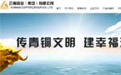 云南銅業(yè)(集團)有限公司網站建設