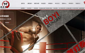 北京搏弈堂散打搏擊俱樂部網站建設
