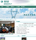 國(guó)網(wǎng)物資有限公司網(wǎng)站建設(shè)