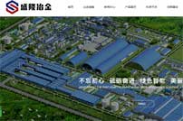 廣西盛隆冶金有限公司網(wǎng)站建設