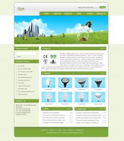 外貿(mào)英文網(wǎng)站(節(jié)能燈)