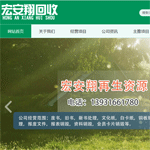宏安翔回收網(wǎng)站建設(shè)