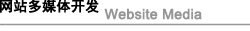 網(wǎng)站多媒體開發(fā) 網(wǎng)站多媒體開發(fā)