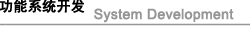 功能系統(tǒng)開發(fā) 功能系統(tǒng)開發(fā)